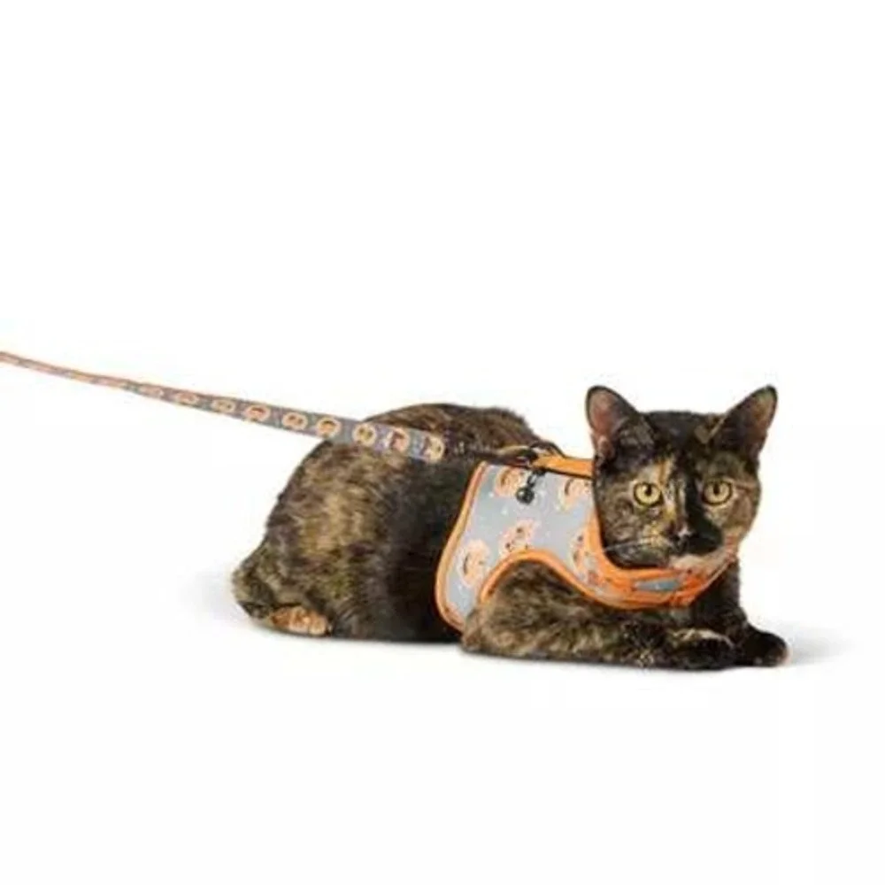 Thrills & Chills Reflective Cat Harness & Leash Set Pumpkin Halloween Costume‎